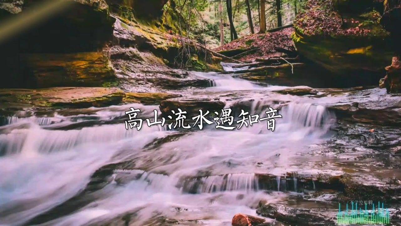 新年将至  理性消费  健康饮食